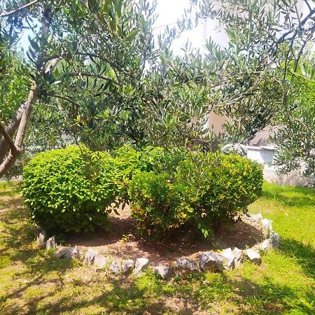 וודיצה Apartmani Trubi 2 מראה חיצוני תמונה
